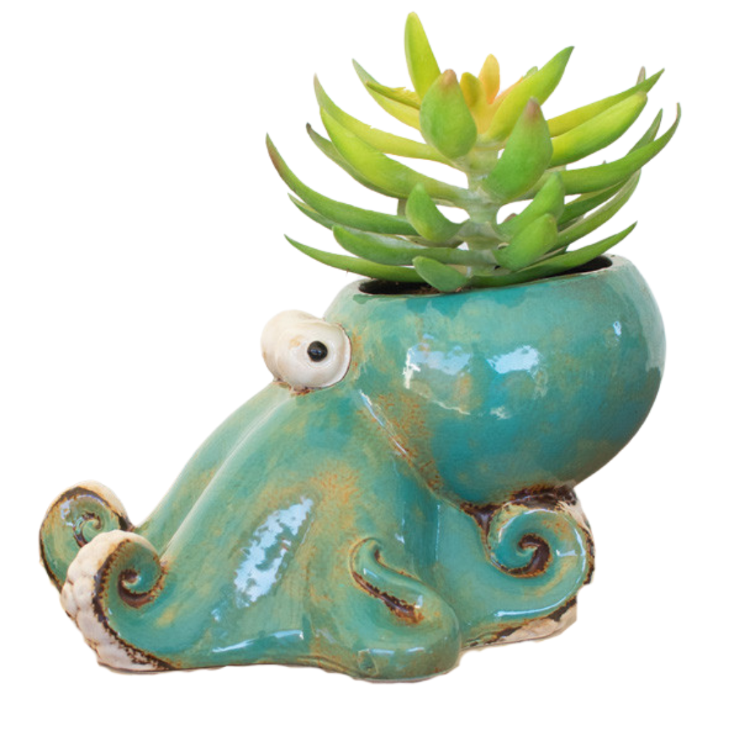 octopus succulent Ceramic Octopus Planter