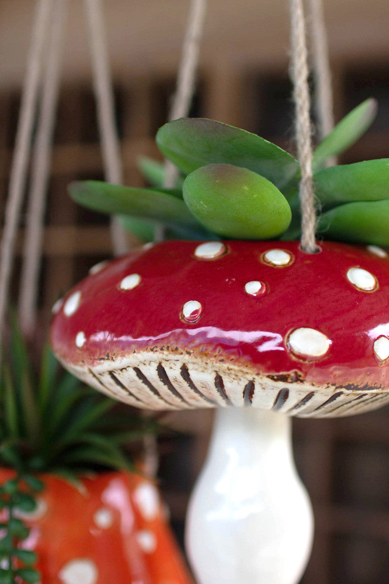 Hanging Mushroom Planters